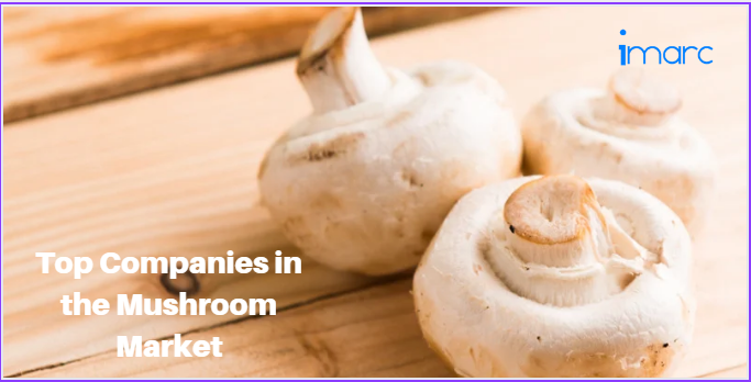 Mushroom companies